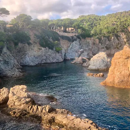 In The Forest With Sea View Apartamento