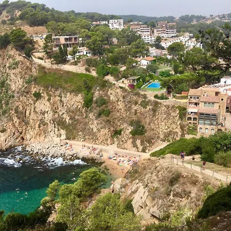 In The Forest With Sea View Apartment *