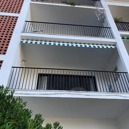 In The Forest With Sea View Apartment