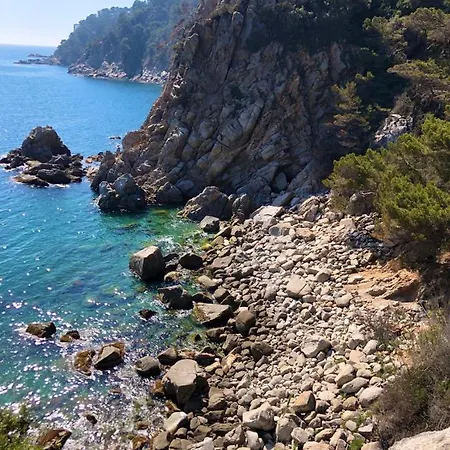 In The Forest With Sea View Tossa de Mar
